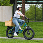 Fat Tyre Step-Through Electric Bike