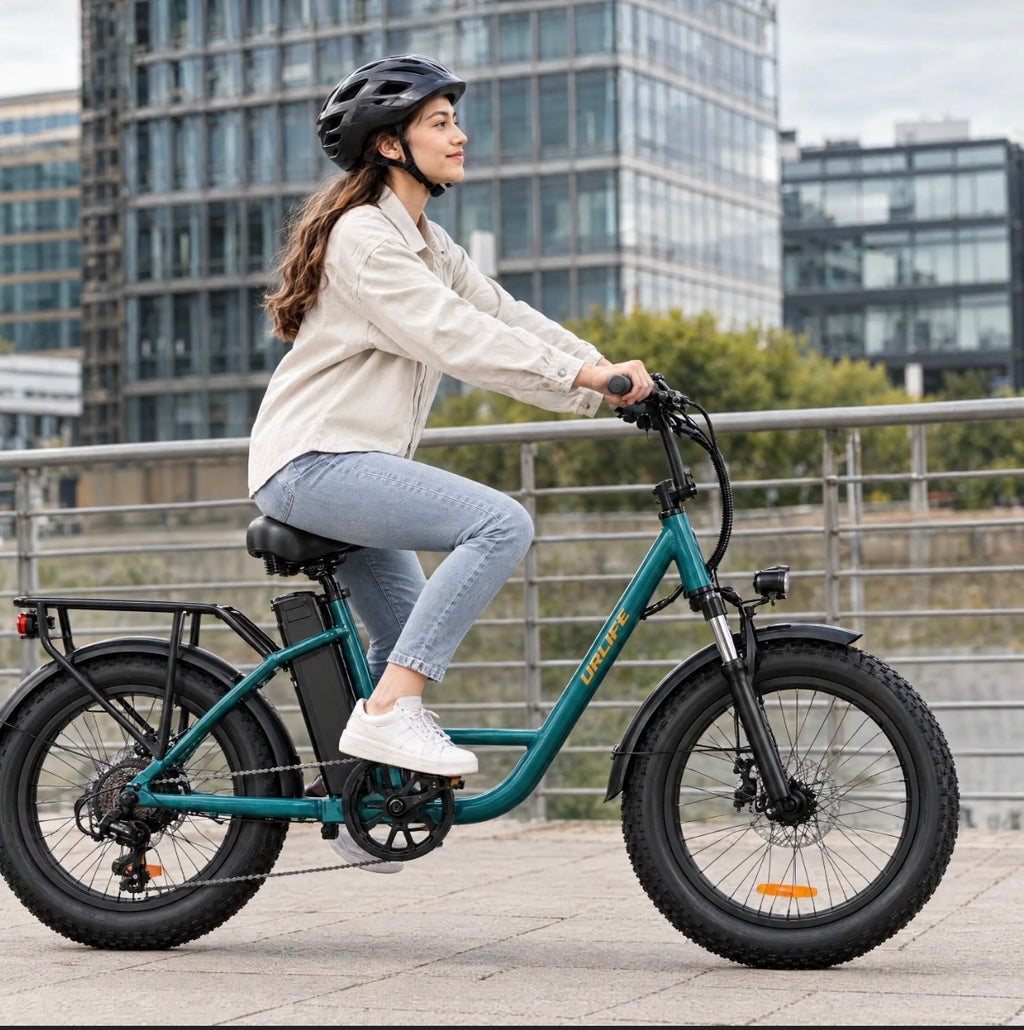 Fat Tyre Step-Through Electric Bike
