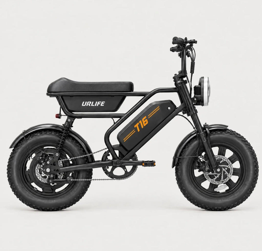 T16 Electric Bike