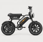 T16 Electric Bike