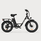 Fat Tyre Step-Through Electric Bike