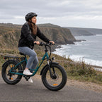 Fat Tyre Step-Through Electric Bike