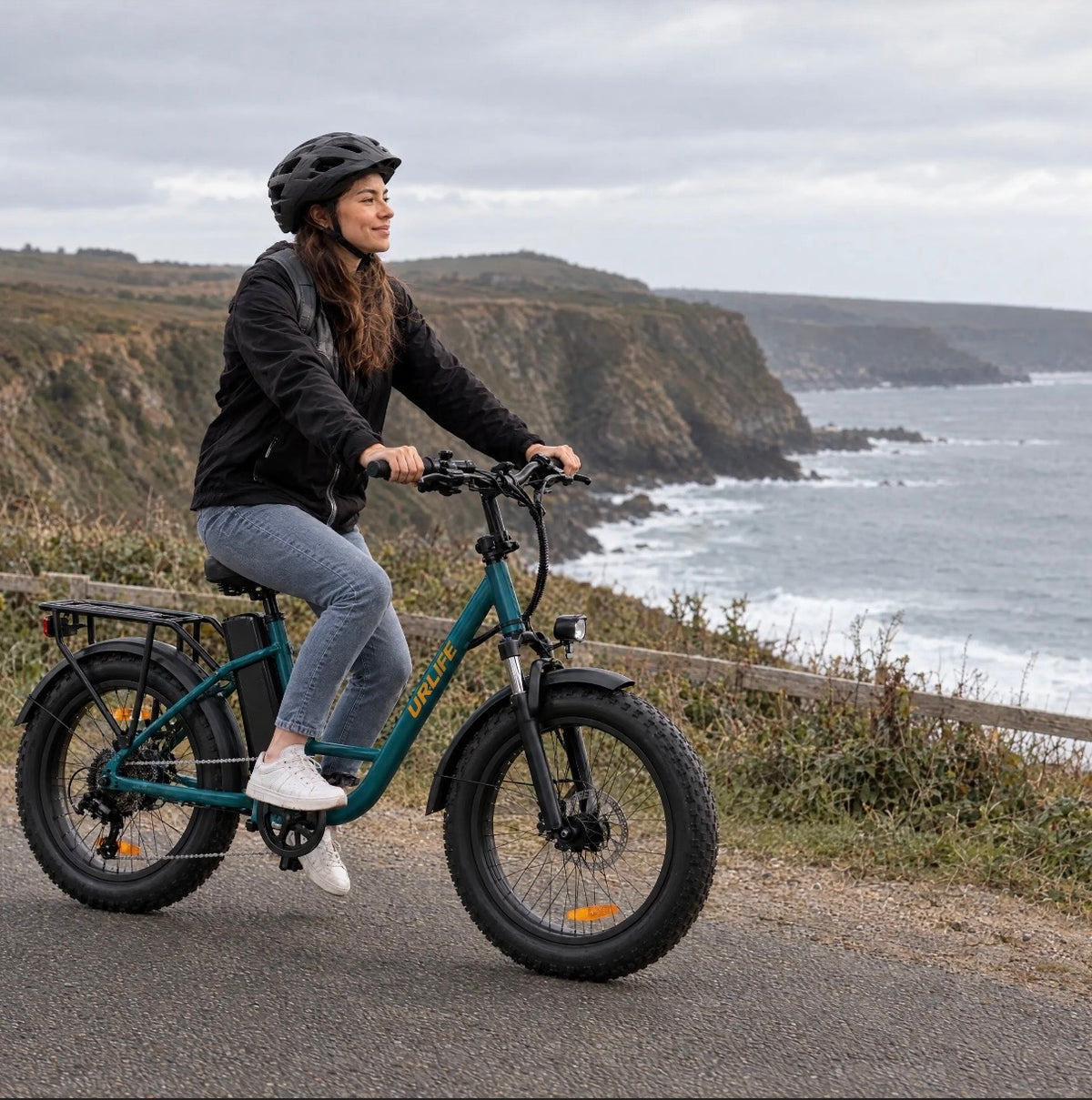 Fat Tyre Step-Through Electric Bike
