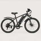 Westmoor 25 Electric Bike