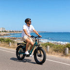 Fat Tyre Step-Through Electric Bike