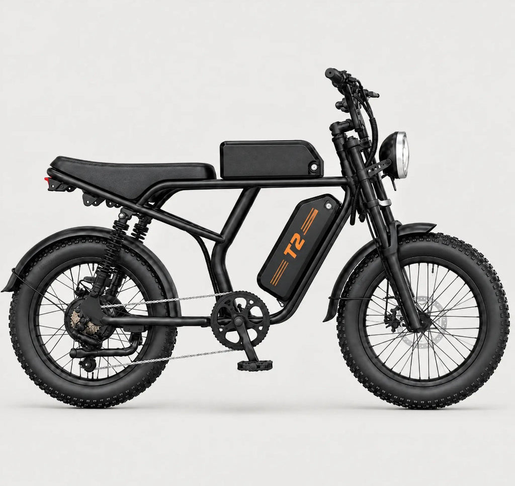 Motorcycle-Style Electric Bike