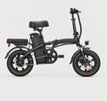 Compact Folding Electric Bike