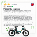 Fat Tyre Step-Through Electric Bike