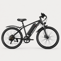 Westmoor 25 Electric Bike