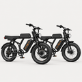 Motorcycle-Style Electric Bike Duo (2 bikes)