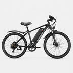 Westmoor 25 Electric Bike, photo 2