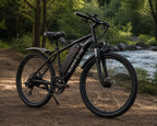 Westmoor 25 Electric Bike, photo 3