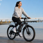 Westmoor 25 Electric Bike, photo 4