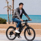 Westmoor 25 Electric Bike, photo 6