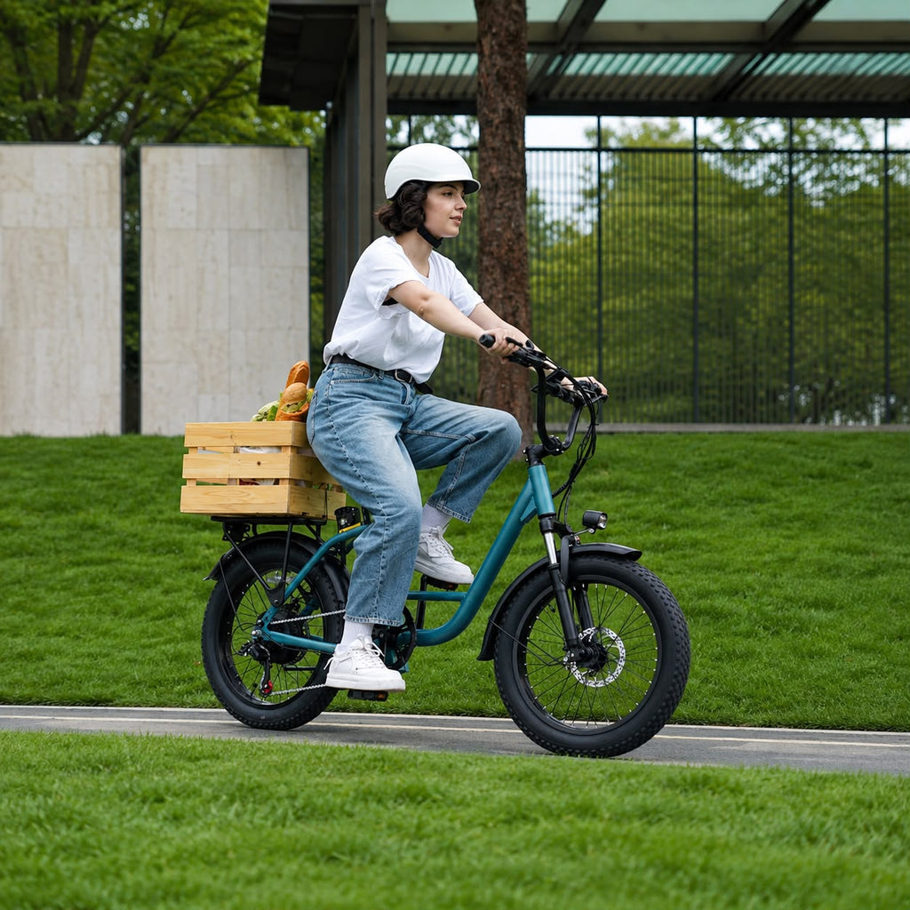 Fat Tyre Step-Through Electric Bike, photo 2