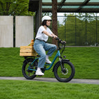 Fat Tyre Step-Through Electric Bike, photo 2