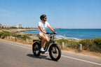 Fat Tyre Step-Through Electric Bike, photo 12