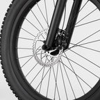 Electric Mountain Bike, photo 4