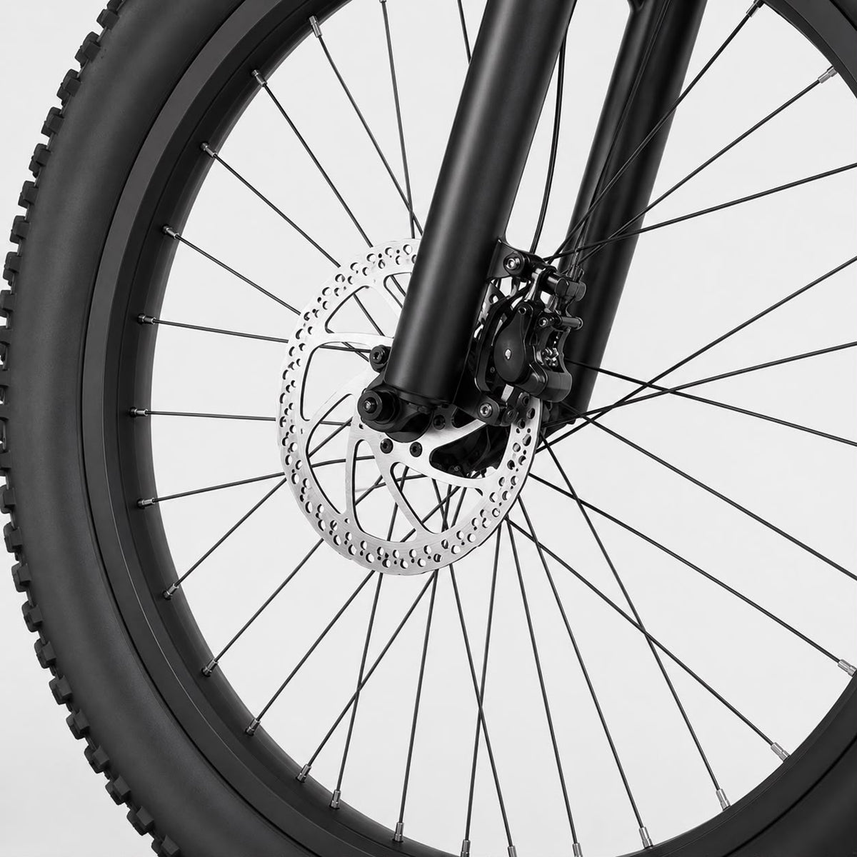 Electric Mountain Bike, photo 4