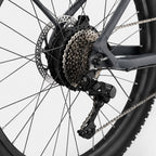 Electric Mountain Bike, photo 5