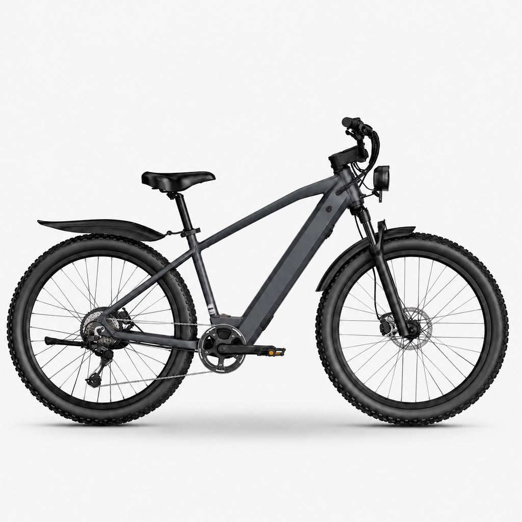 Electric Mountain Bike, photo 6