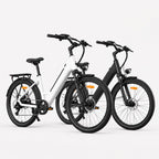 Electric City Bike Duo, photo 1