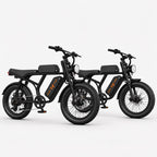 Motorcycle-Style Electric Bike Duo, photo 1