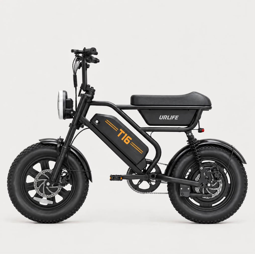 T16 Electric Bike, photo 6