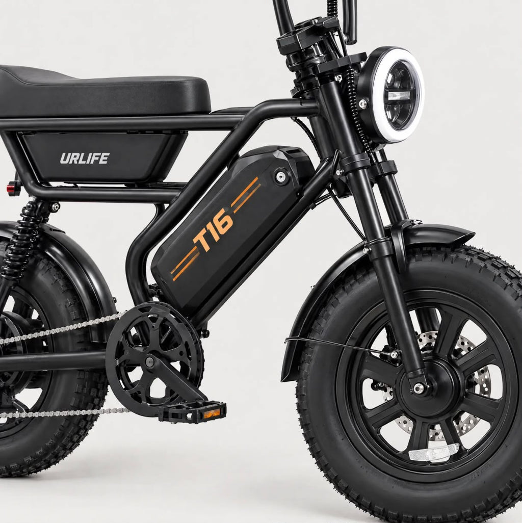 T16 Electric Bike, photo 1