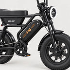 T16 Electric Bike, photo 1