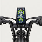 T16 Electric Bike, photo 2