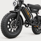 T16 Electric Bike, photo 3