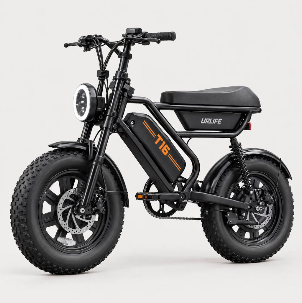 T16 Electric Bike, photo 4