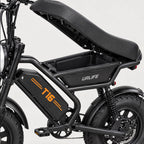 T16 Electric Bike, photo 5