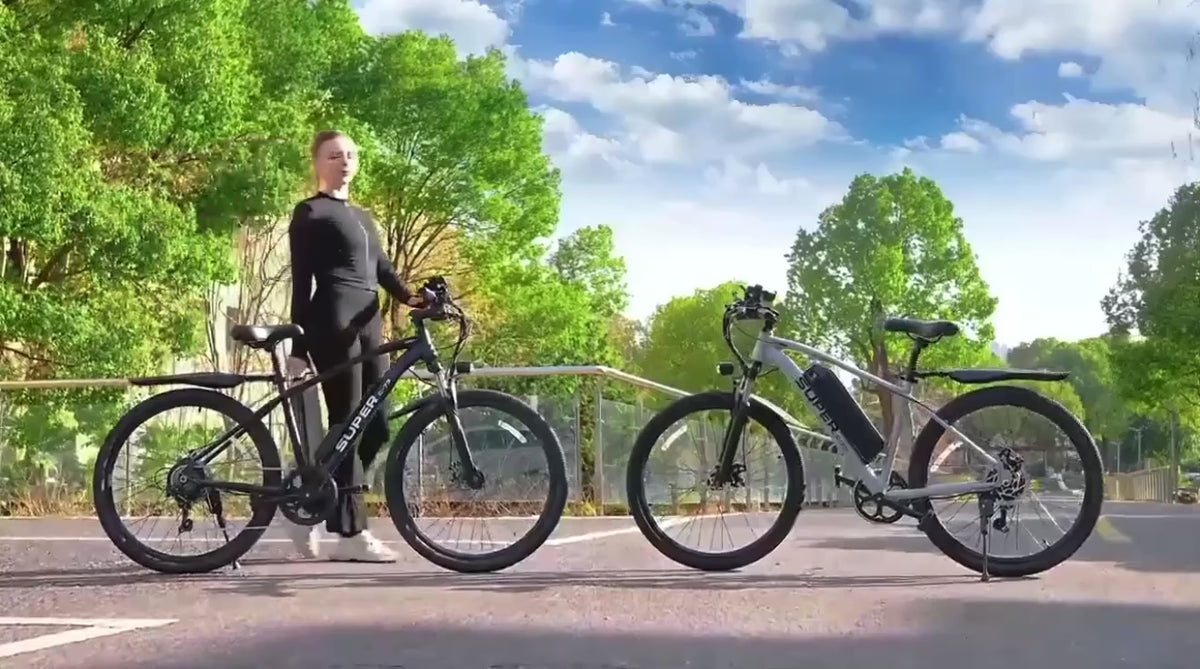 Westmoor 25 Electric Bike