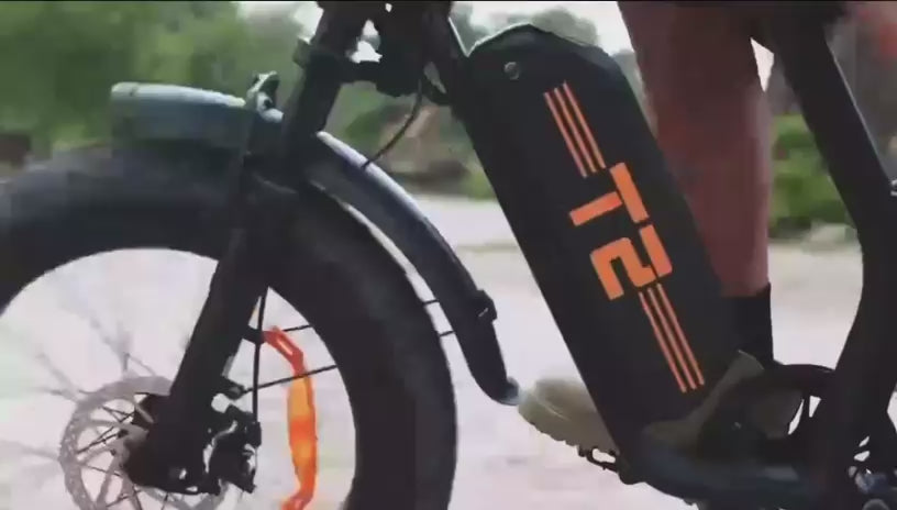 Motorcycle-Style Electric Bike Duo (2 bikes)